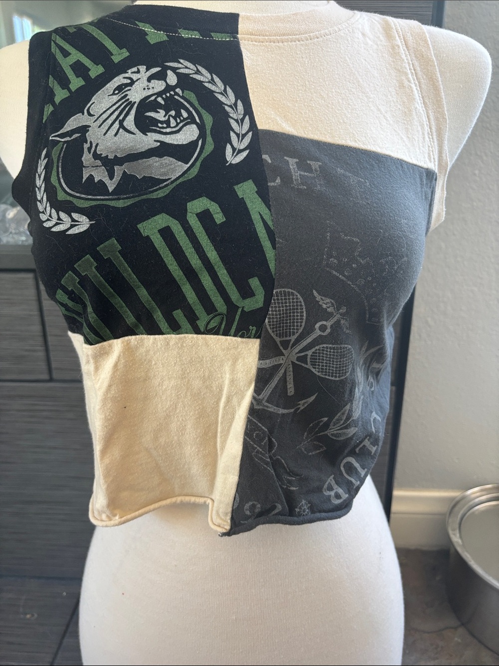 Hollister Crop colorblock top XS with lion print, in very good condition.